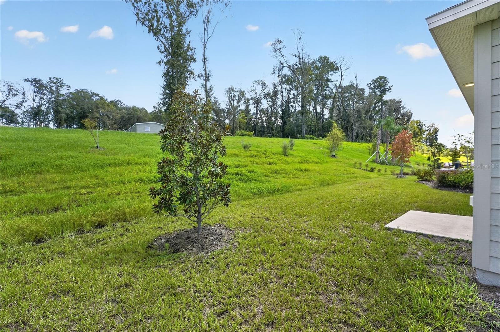 Single Family Residence at 16515 NW 144TH ST, ALACHUA, photo 35 of 36