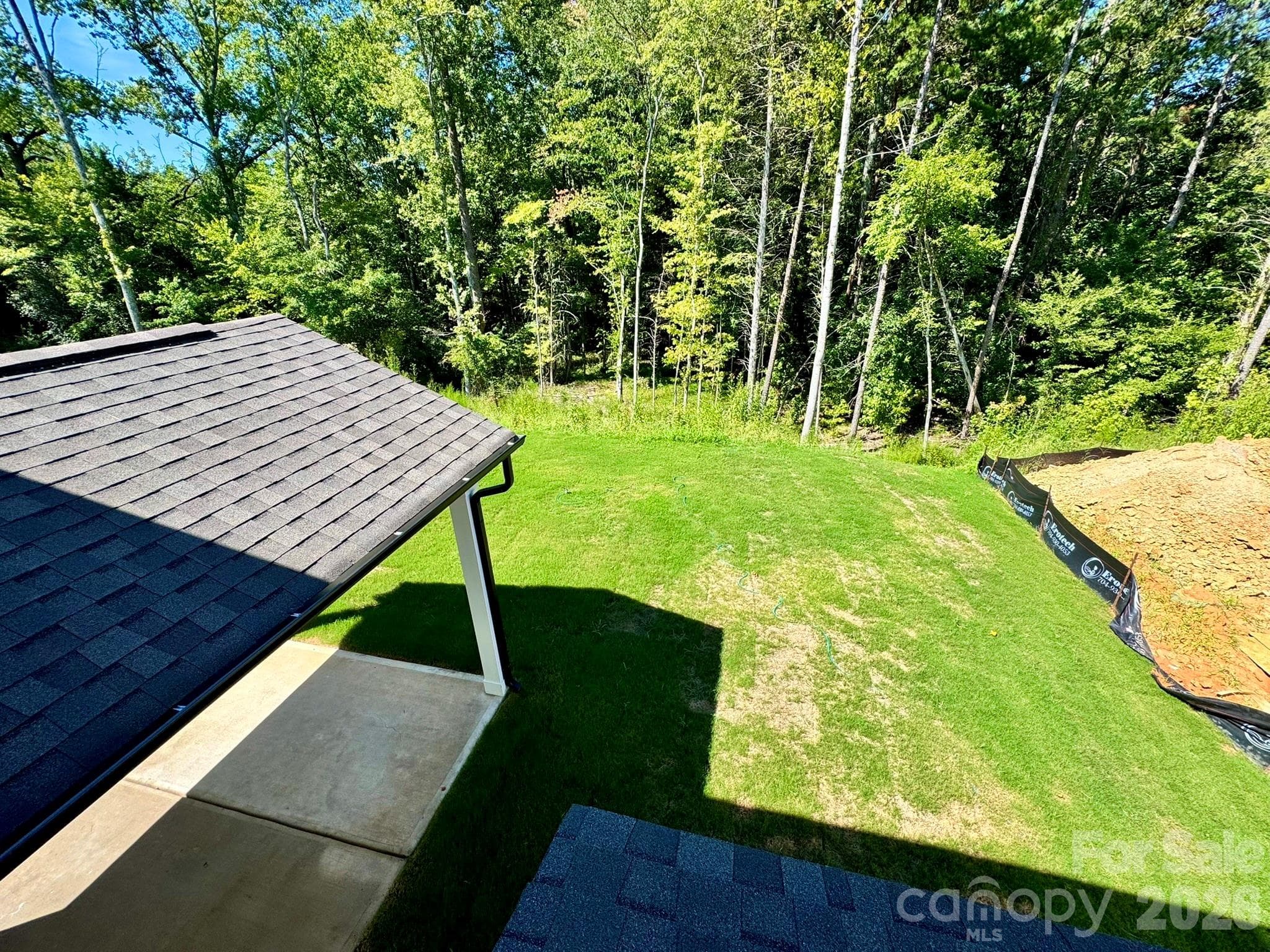 Backyard - Charlotte
