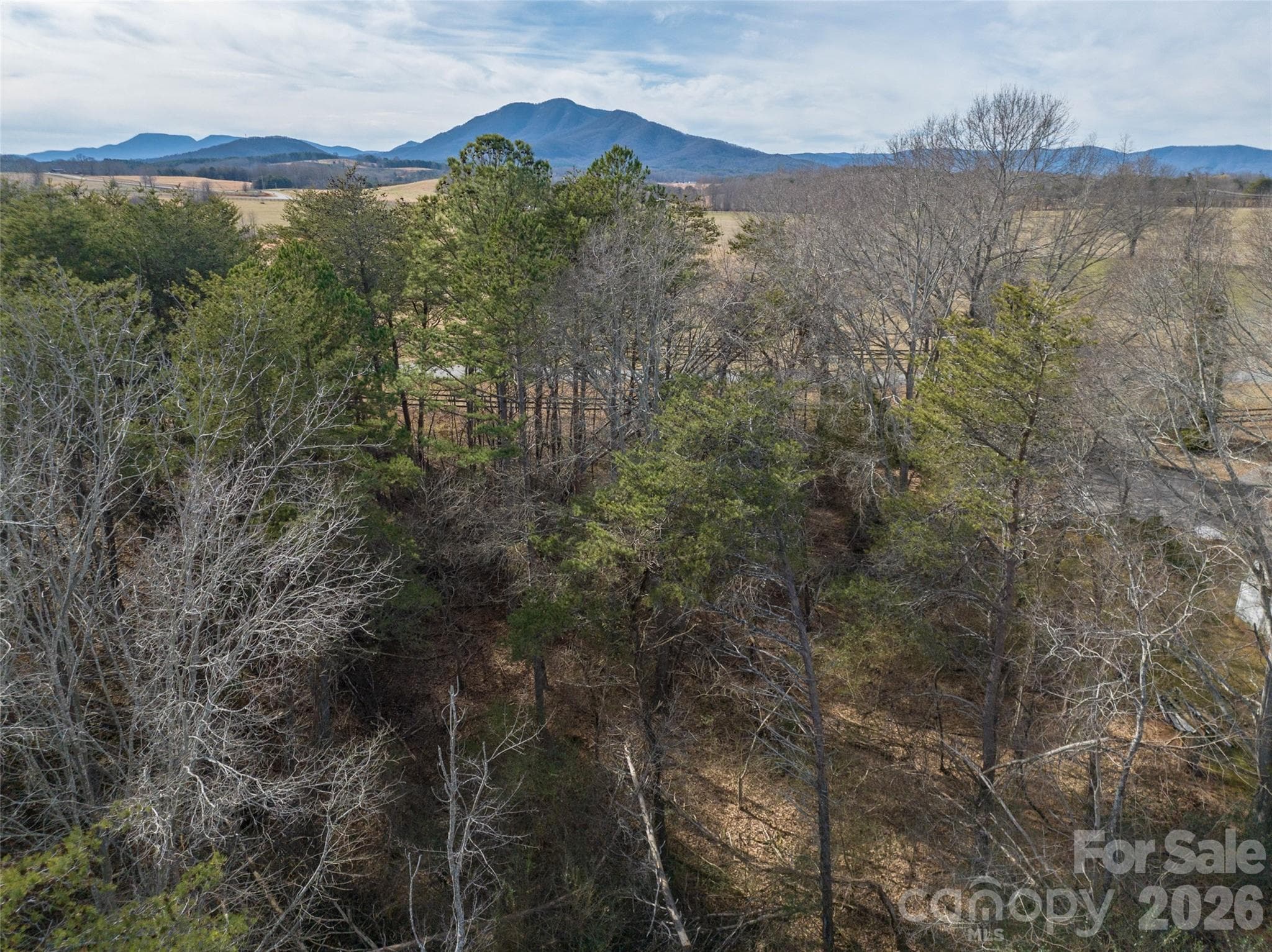 Acreage at 0000 High Meadows Drive, Mill Spring, photo 14 of 21
