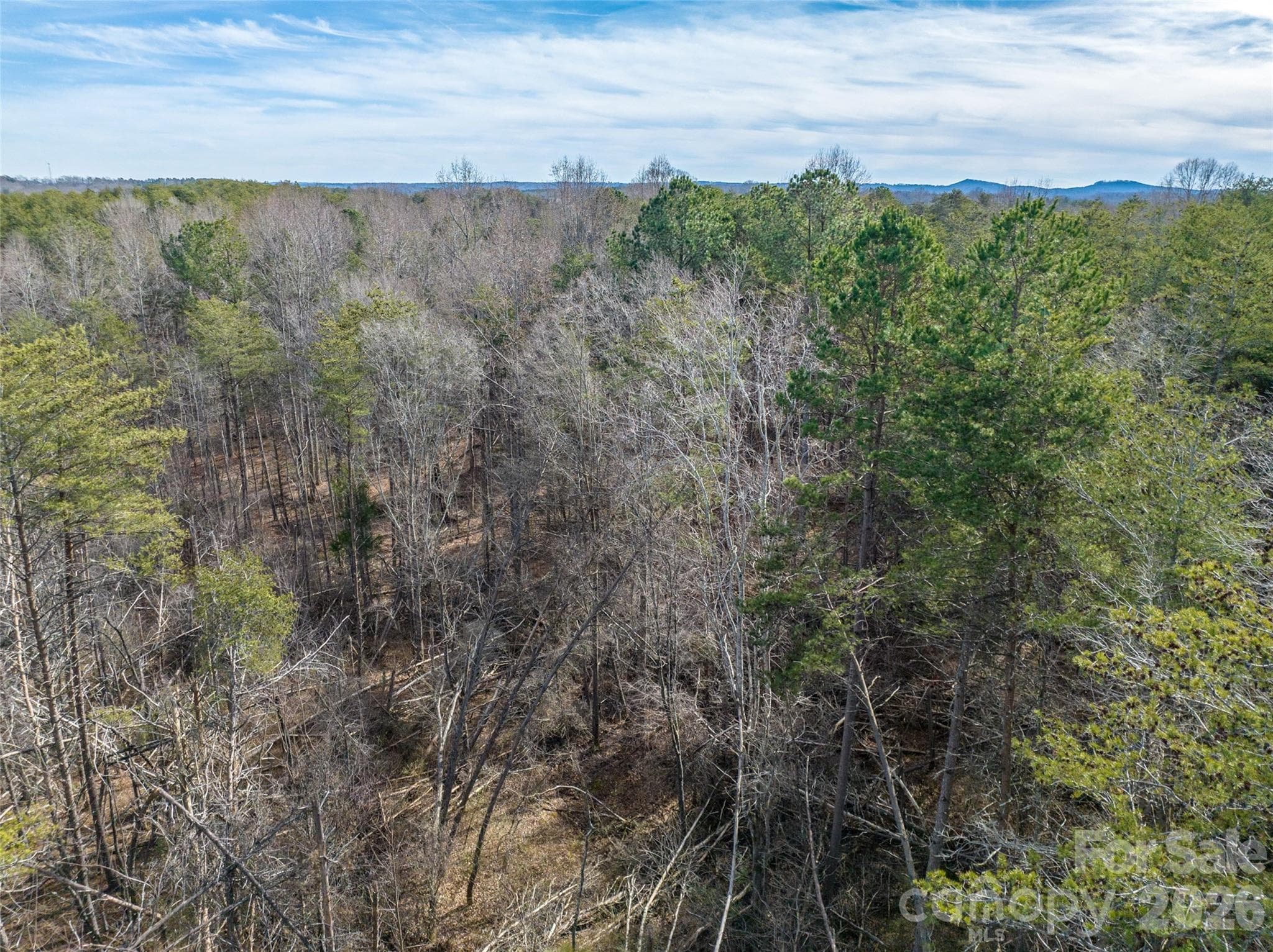 Acreage at 0000 High Meadows Drive, Mill Spring, photo 15 of 21