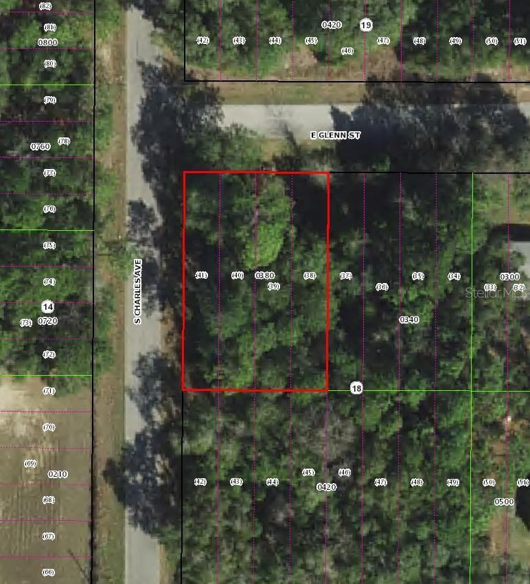 Land at 3022 E GLENN ST, INVERNESS, photo 2 of 2
