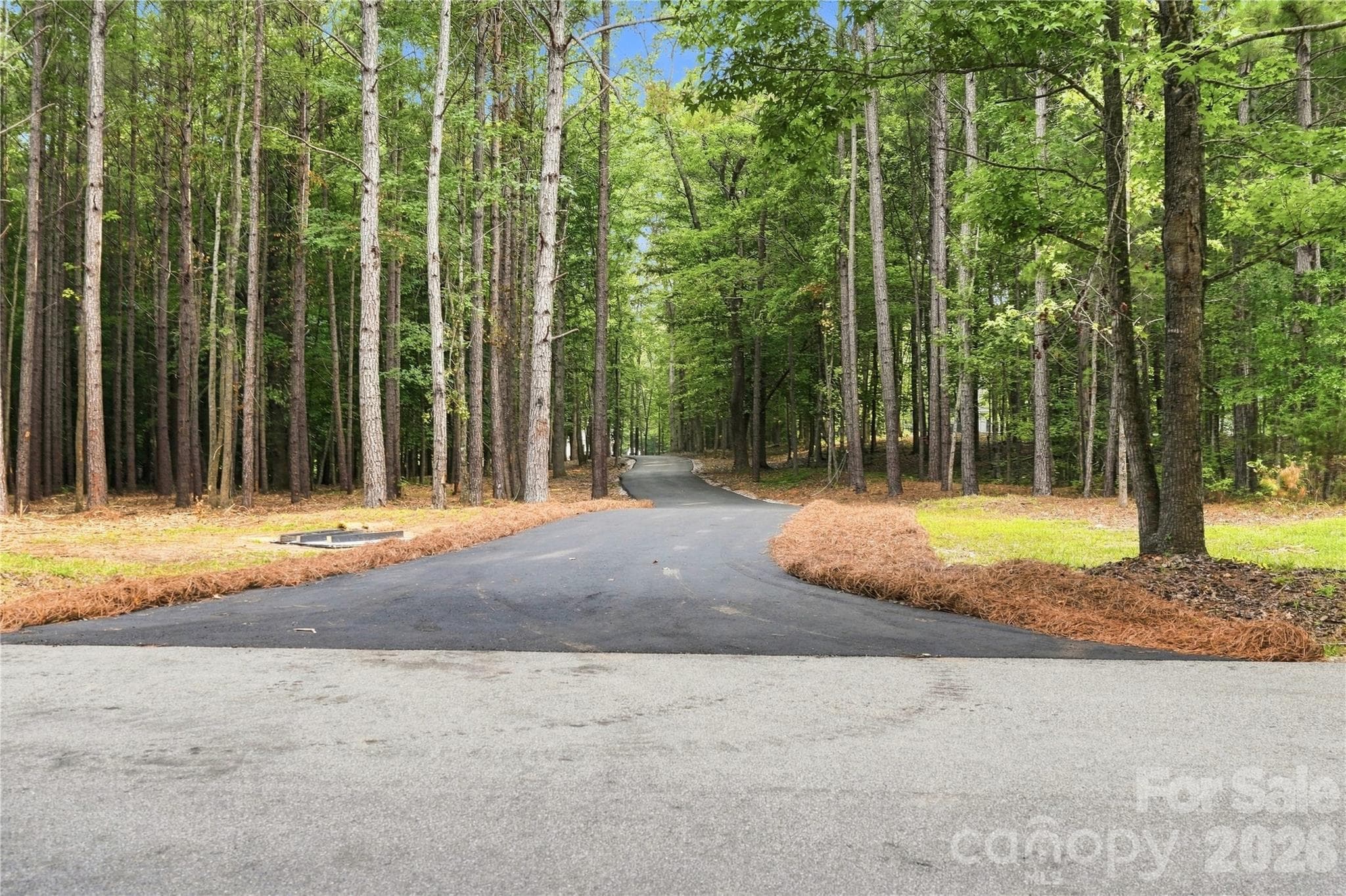 Driveway entry - 3515 Capricorn Road, Lancaster