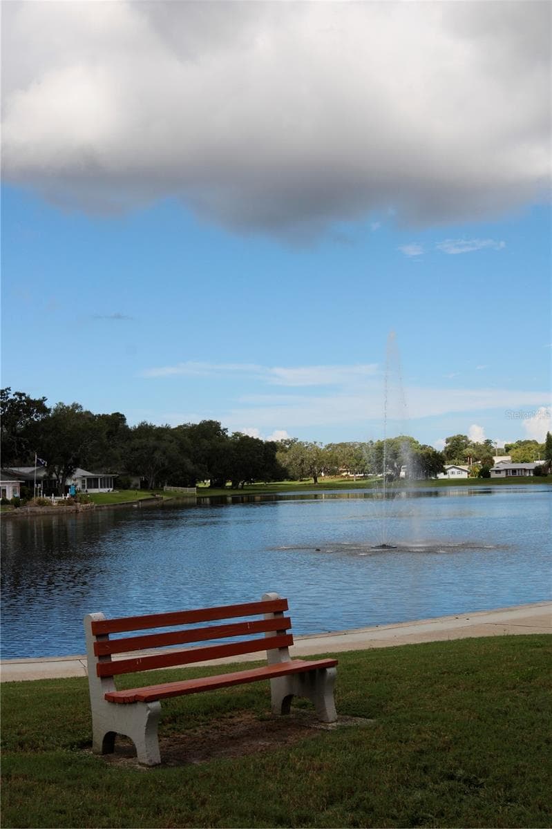 Single Family Residence at 10749 FALLEN LEAF LN, PORT RICHEY, photo 65 of 70