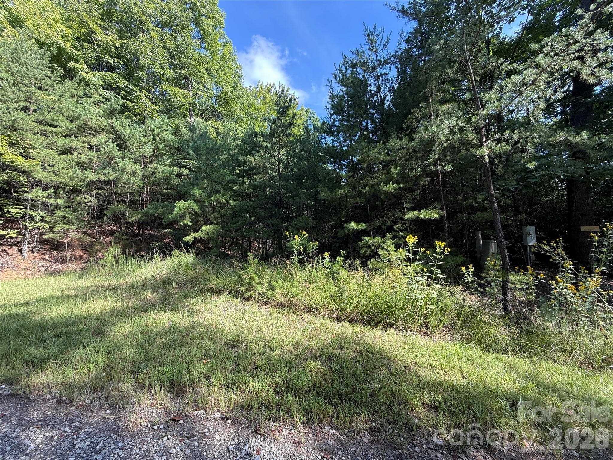 TBD Wolf Pen Road