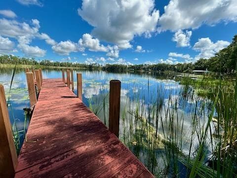 Land at 17101 ARROWHEAD BLVD, WINTER GARDEN, photo 4 of 8