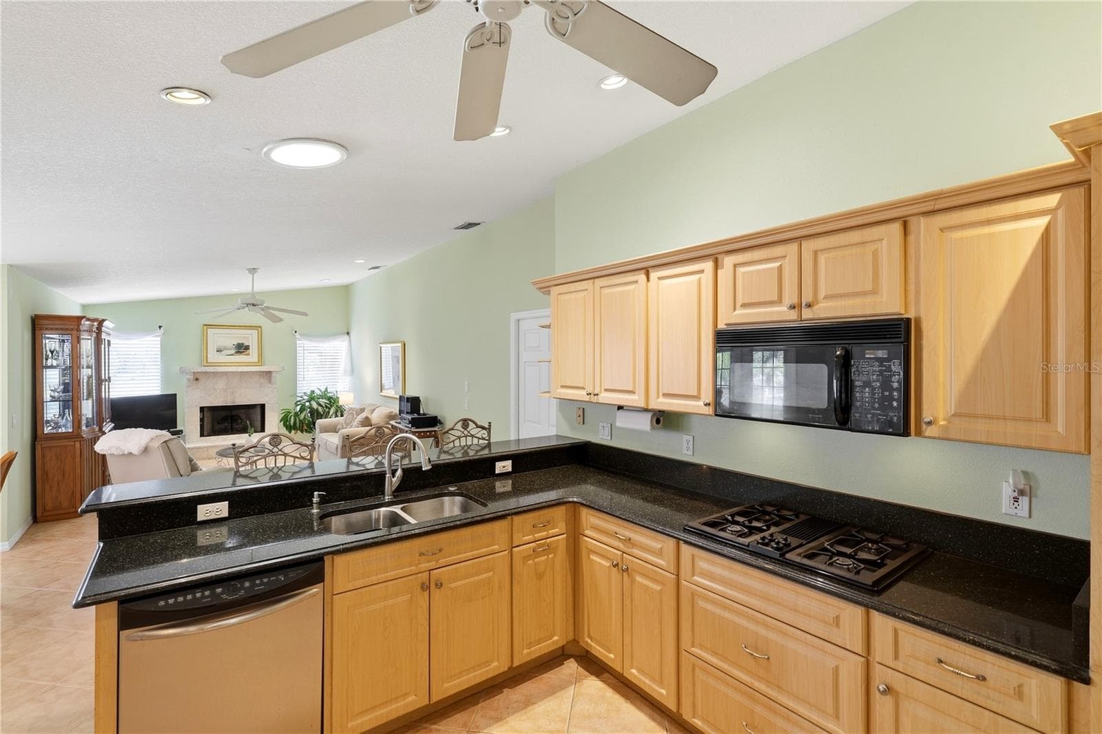 Gas stove, granite countertops - 1252 ROYAL TERN DR, PUNTA GORDA