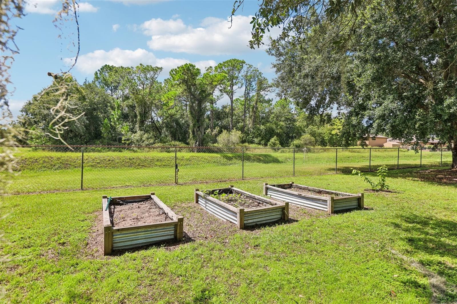 Raised garden beds - 19106 SHELDON ST, ORLANDO