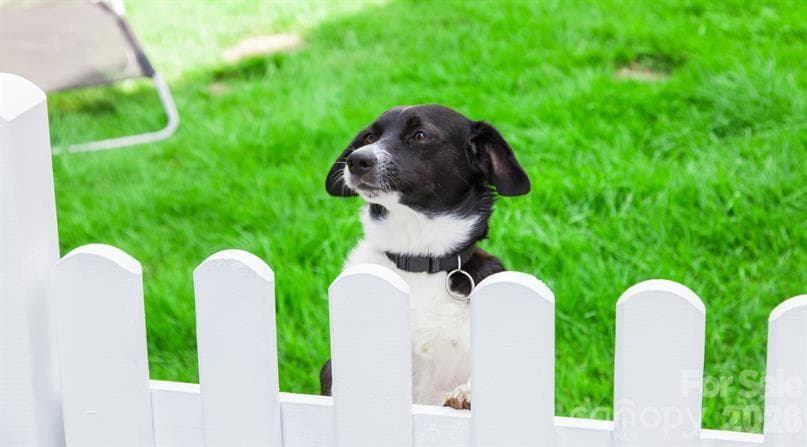 Dog Park - We haven't forgotten about your furry family member.  Meet up with friends at the community dog park - 1235 Rutland Drive SW, Concord