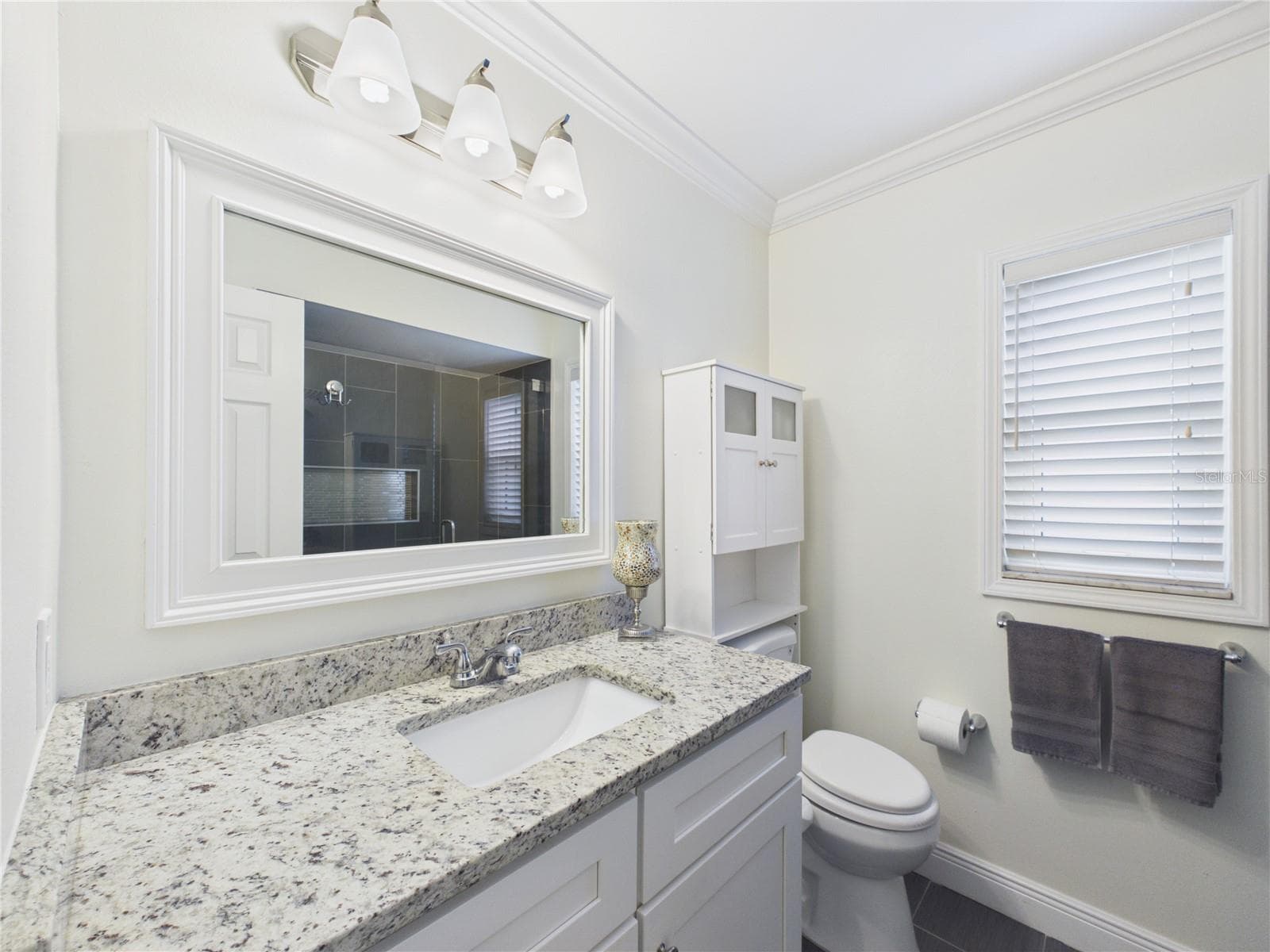 Guest bathroom - 16004 EAGLE RIVER WAY, TAMPA