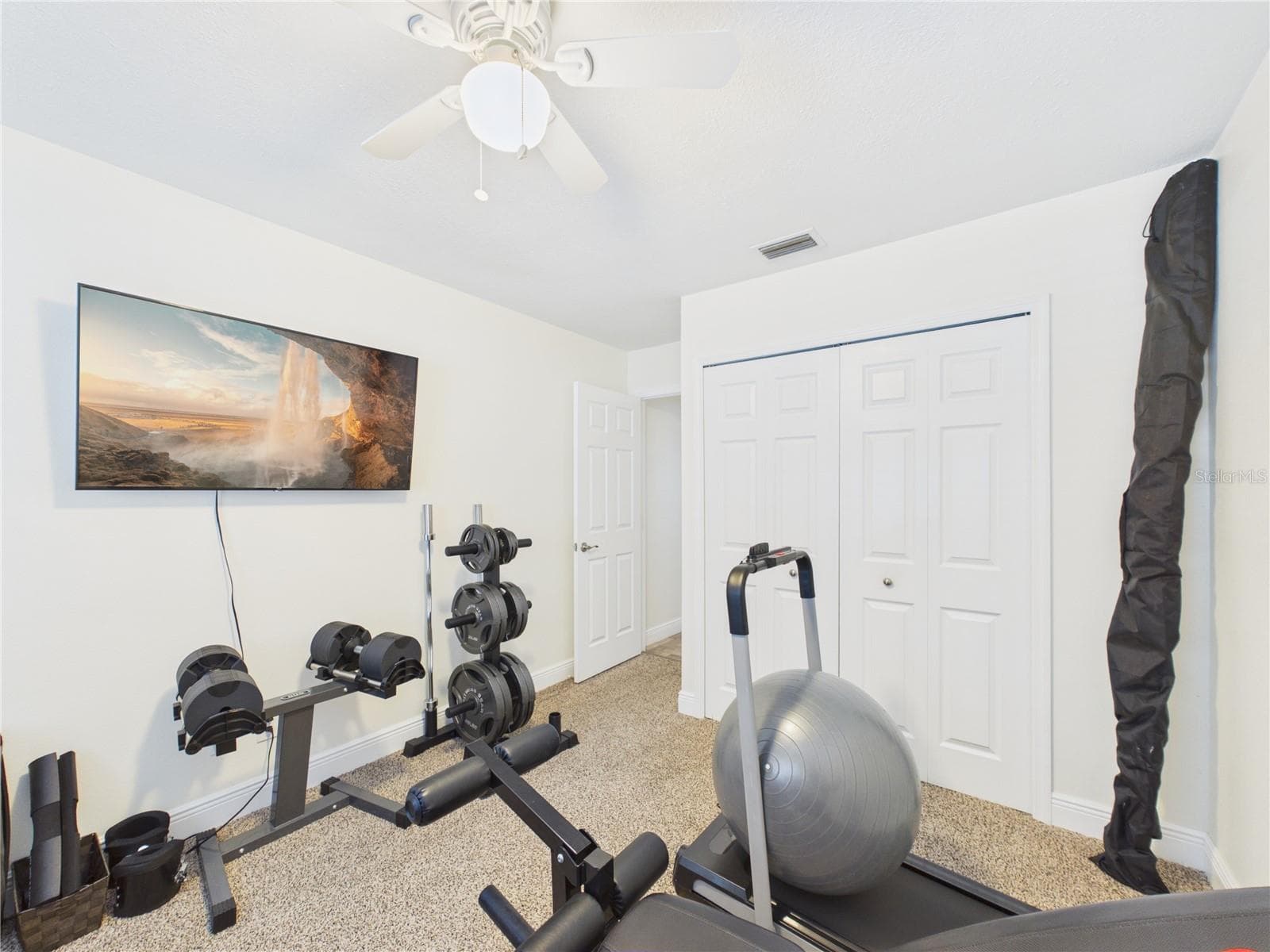 Guest room 2 - 16004 EAGLE RIVER WAY, TAMPA