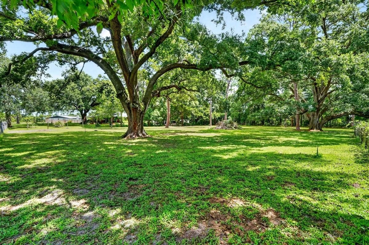 Single Family Residence at 779 TIMOTHY ST, ORMOND BEACH, photo 4 of 36
