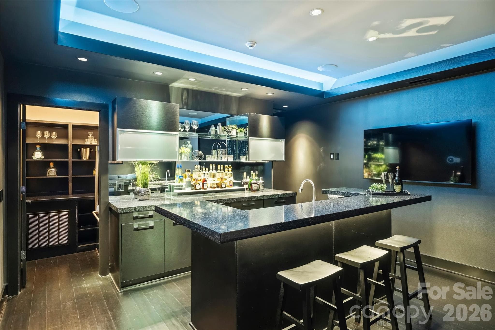Lower Level - 423 S Summit Avenue, Charlotte