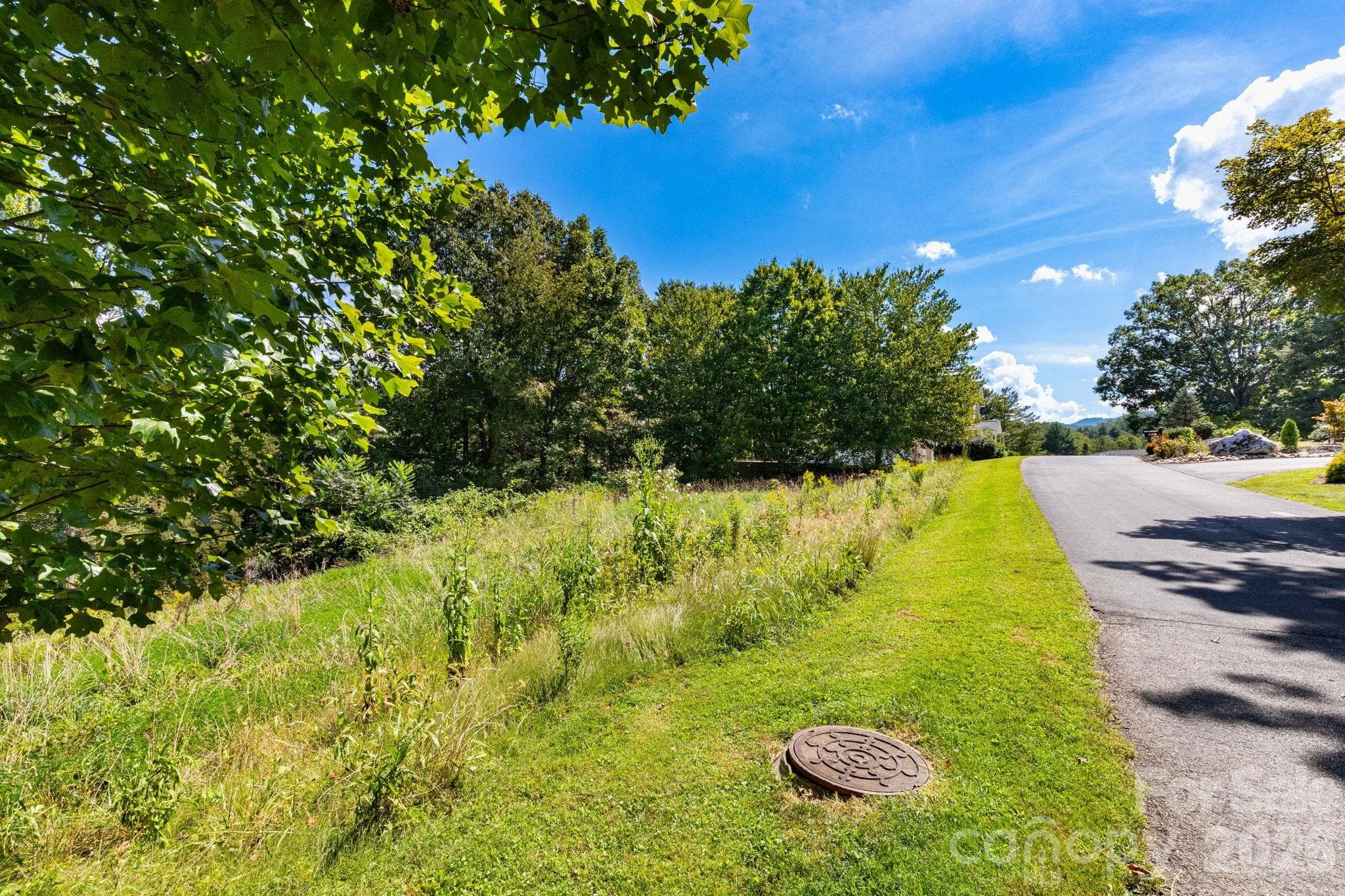 Lot at 9999 Foxfire Estates Circle, Waynesville, photo 2 of 11