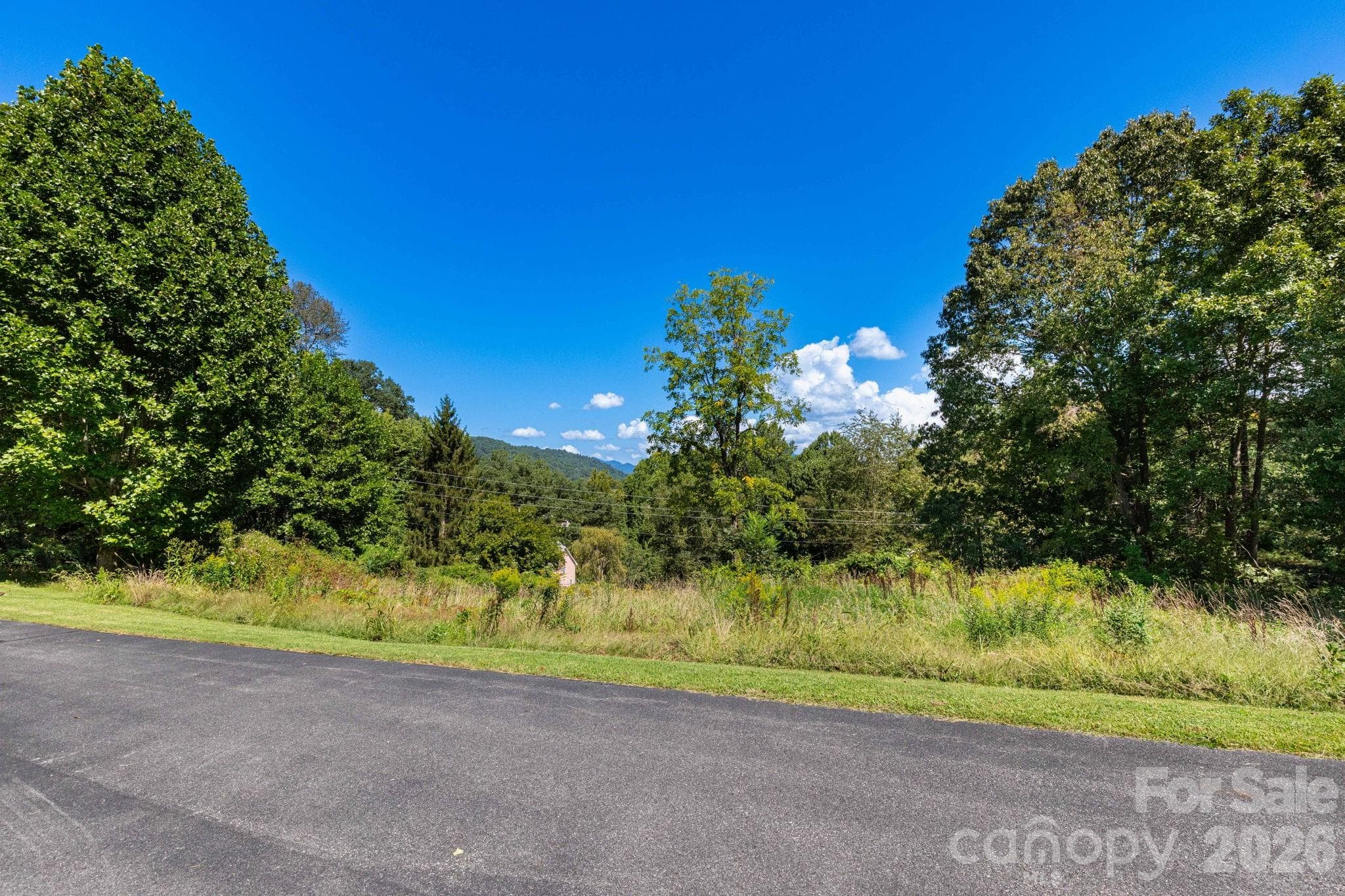 Lot at 9999 Foxfire Estates Circle, Waynesville, photo 3 of 11