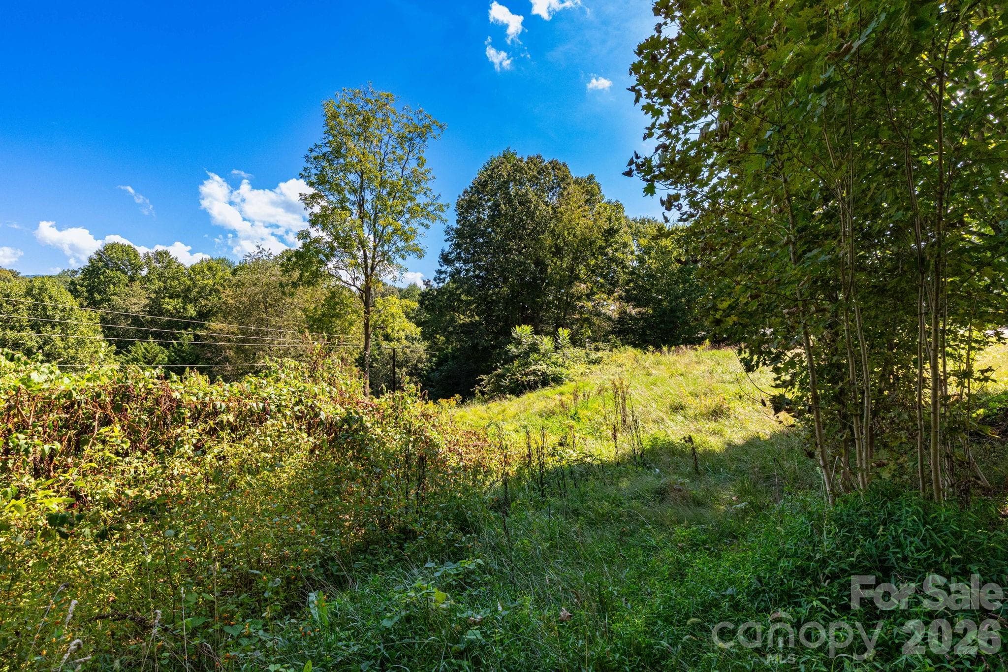 Lot at 9999 Foxfire Estates Circle, Waynesville, photo 4 of 11