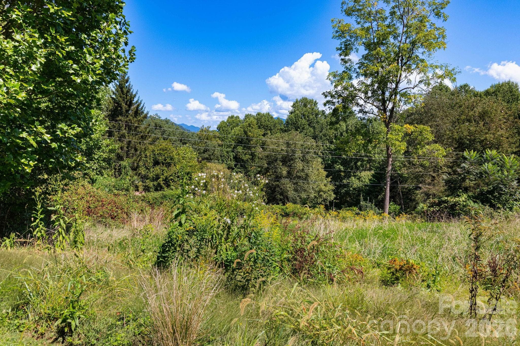 Lot at 9999 Foxfire Estates Circle, Waynesville, photo 5 of 11