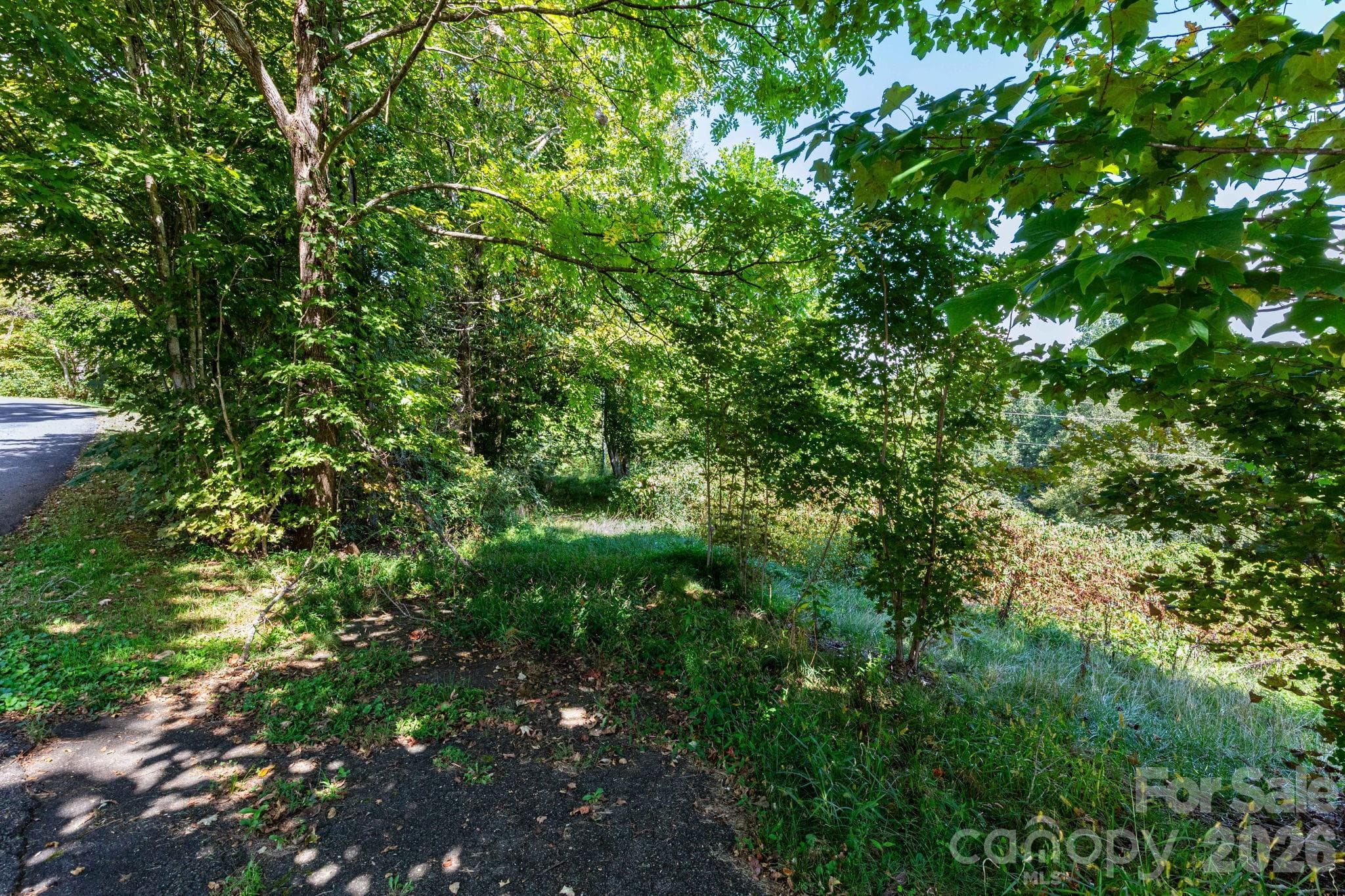 Lot at 9999 Foxfire Estates Circle, Waynesville, photo 6 of 11