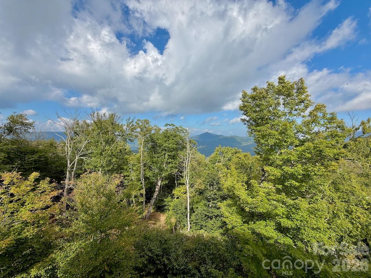 Condominium at 102 Sugar Ski Drive, Sugar Mountain, photo 4 of 38
