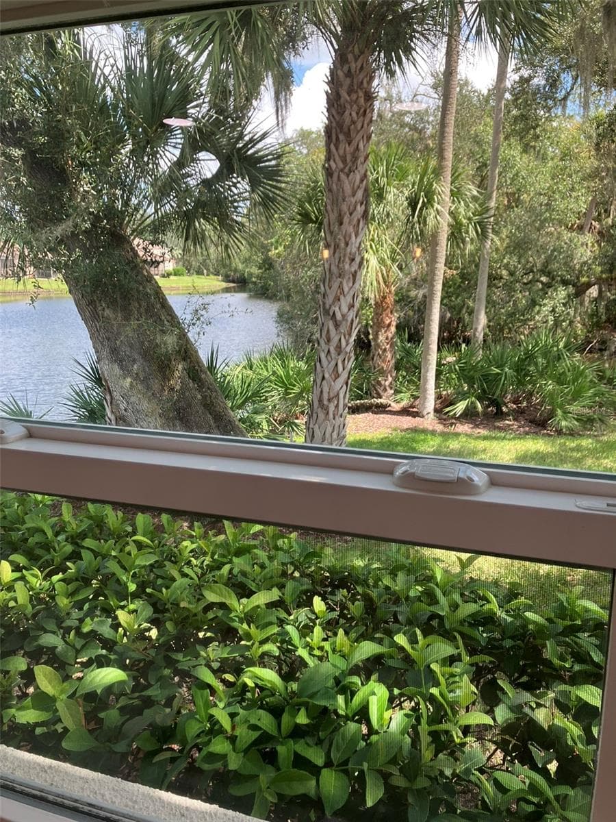 Kitchen Window View - 110 EVELYN CT, OLDSMAR
