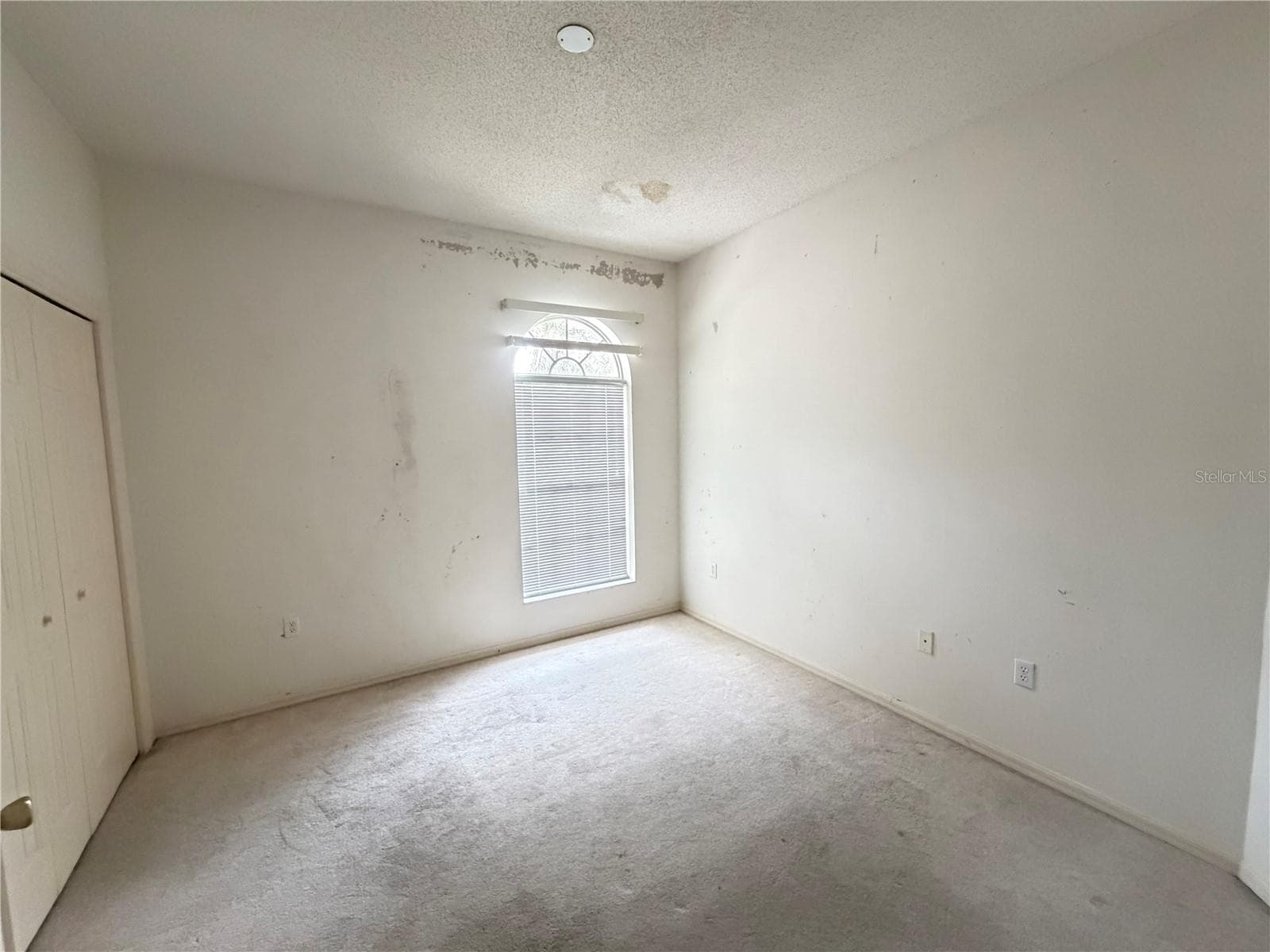 Bedroom 2 - 1 ENCLAVE DR, WINTER HAVEN