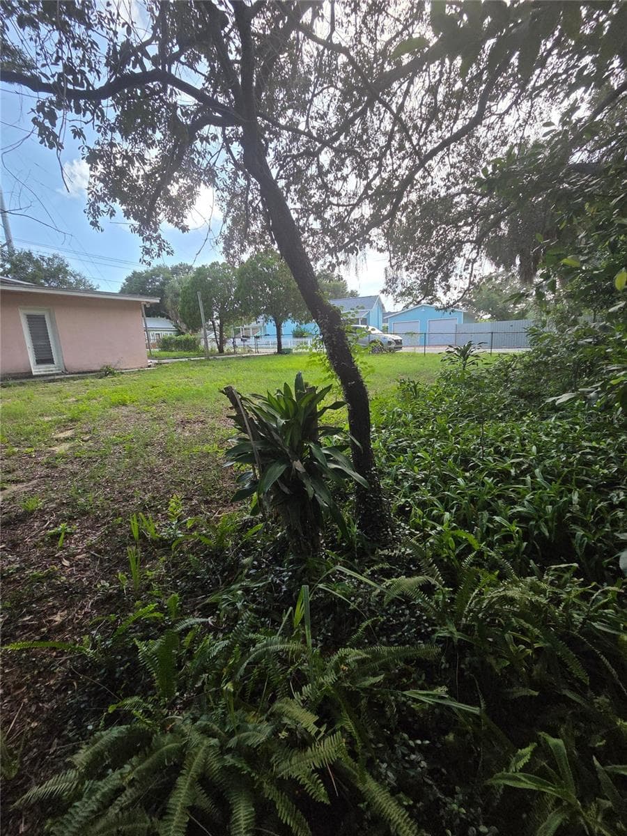 Single Family Residence at 350 N LEVIS AVE, TARPON SPRINGS, photo 46 of 47