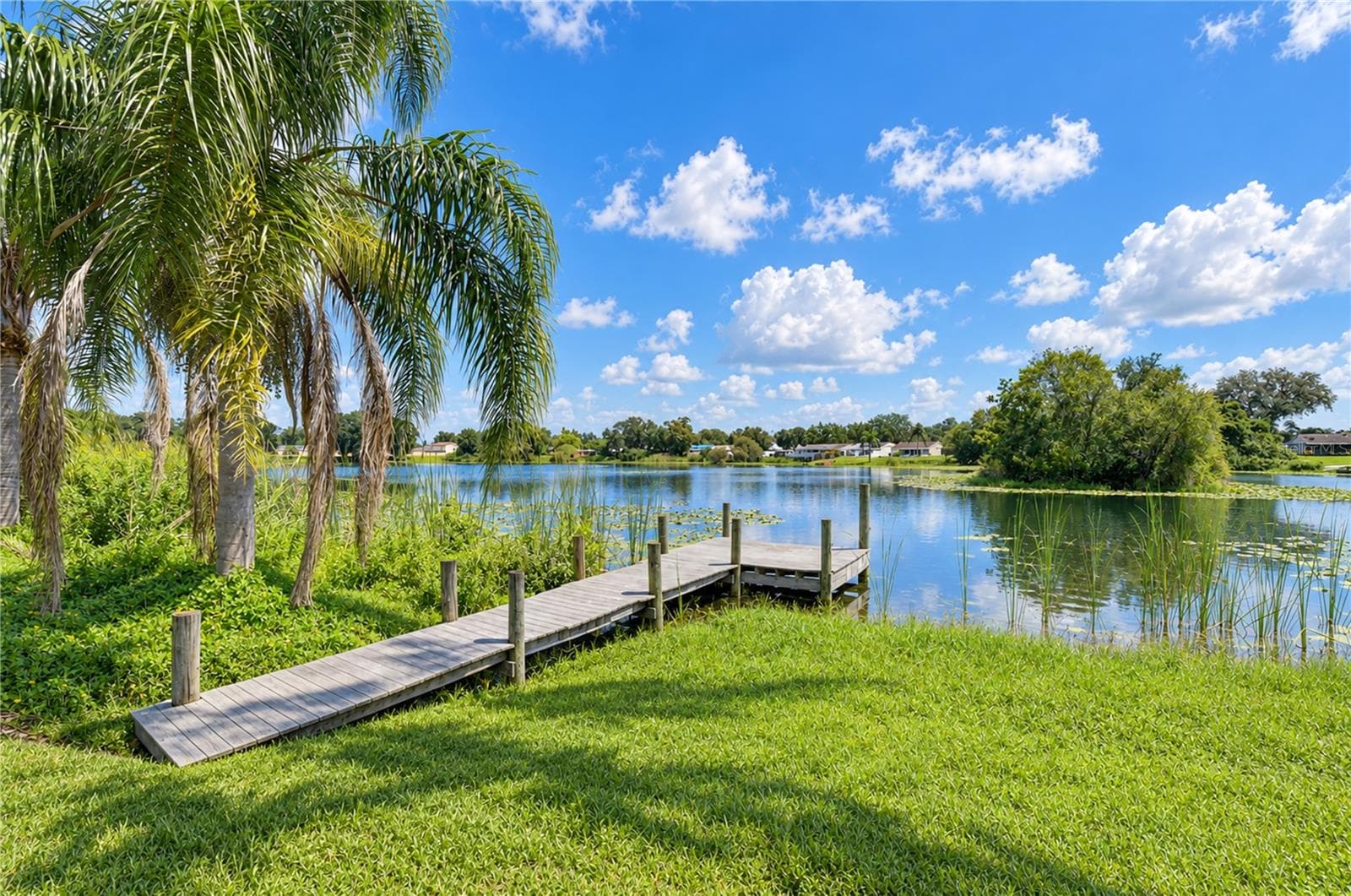 Single Family Residence at 12505 MONDRAGON DR, TAMPA, photo 13 of 47