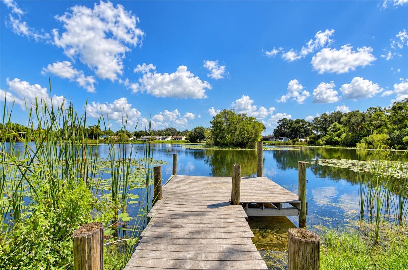 Single Family Residence at 12505 MONDRAGON DR, TAMPA, photo 14 of 47
