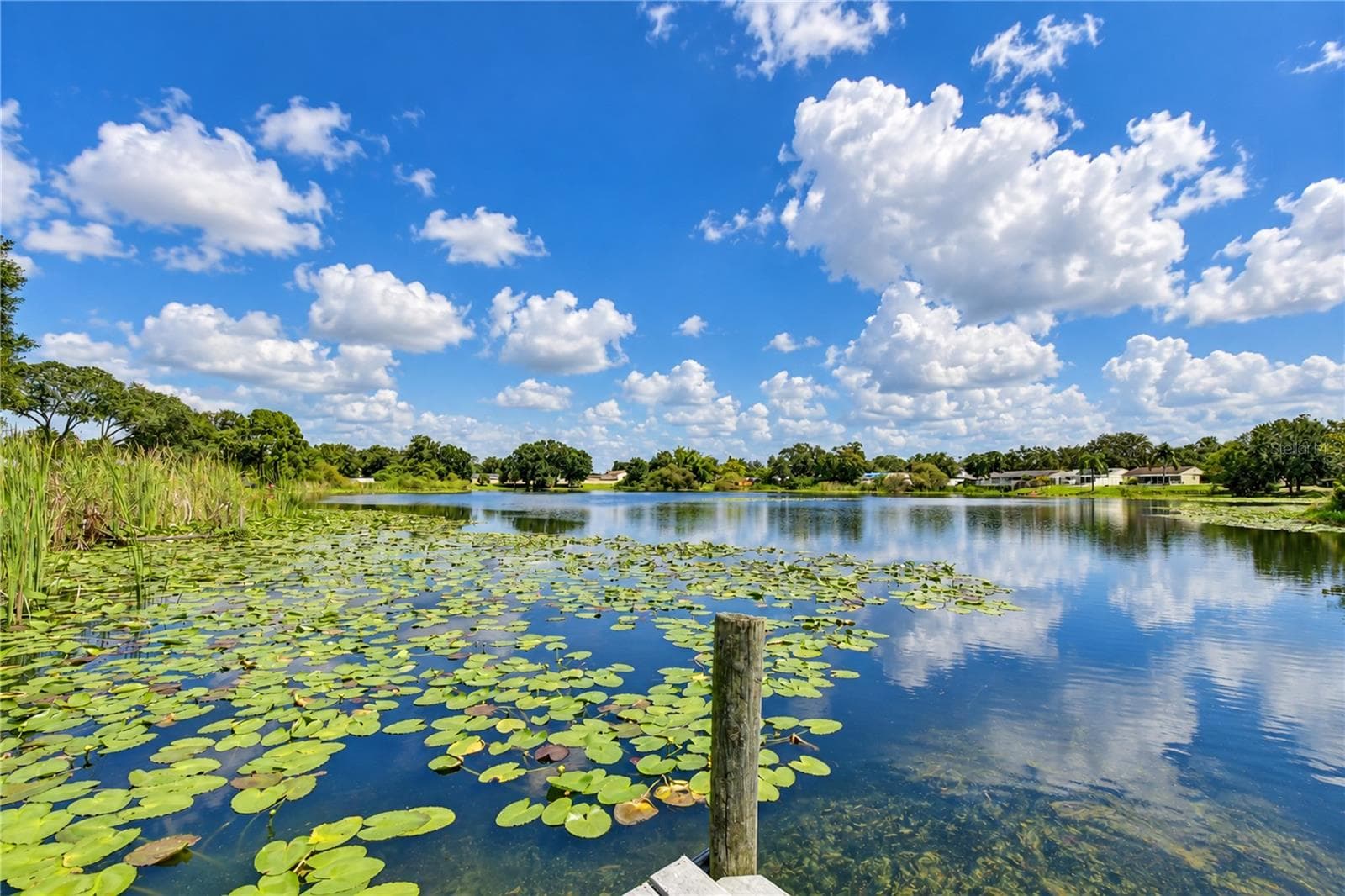 Single Family Residence at 12505 MONDRAGON DR, TAMPA, photo 15 of 47