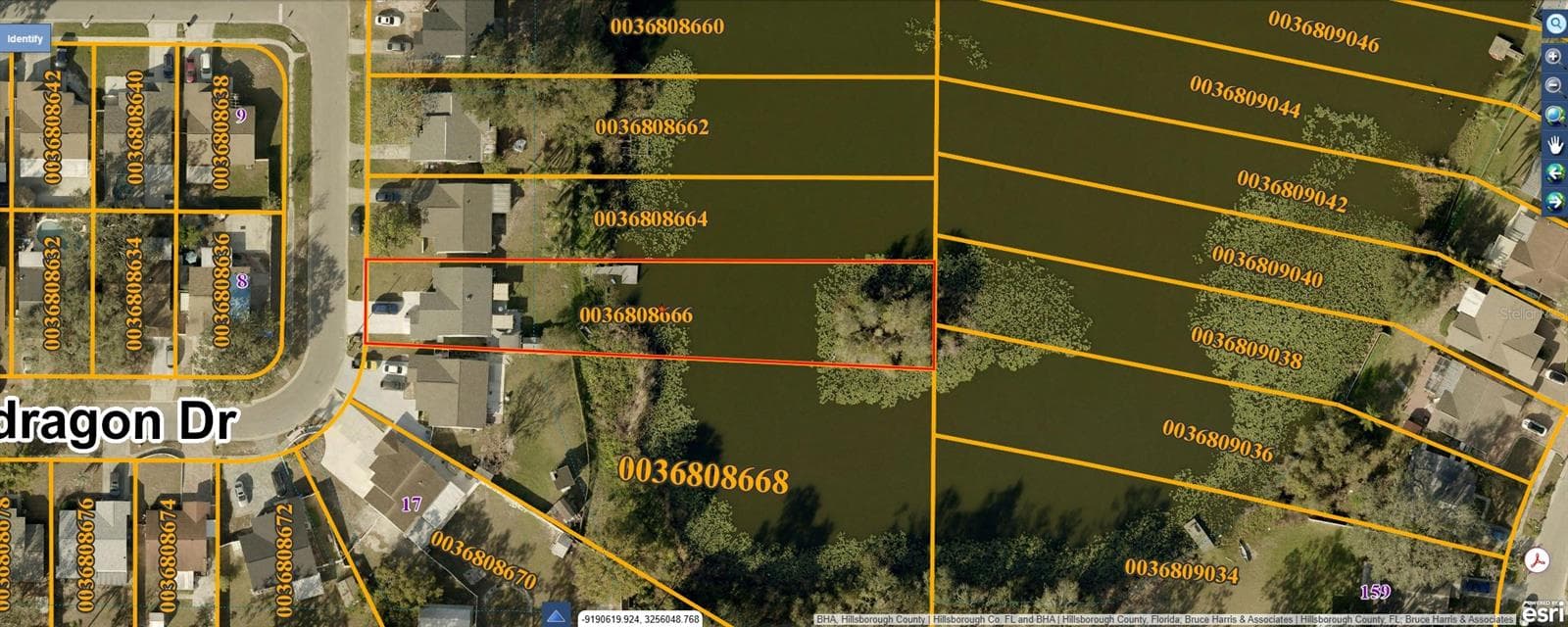 Single Family Residence at 12505 MONDRAGON DR, TAMPA, photo 47 of 47