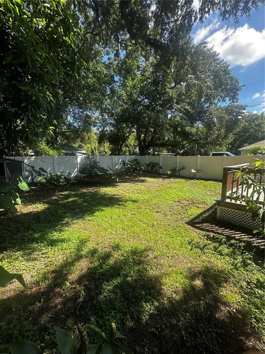 backyard - 3902 N SUWANEE AVE, TAMPA