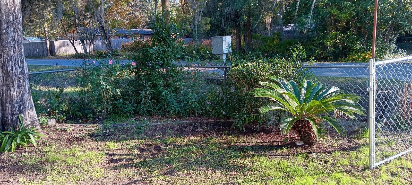 Single Family Residence at 1440 SE 23RD AVE, GAINESVILLE, photo 33 of 42