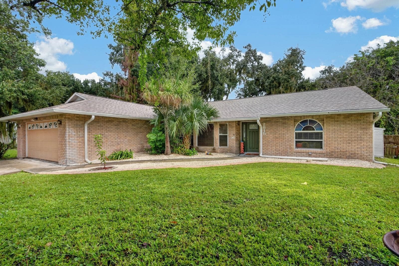 2815 ORANGE TREE