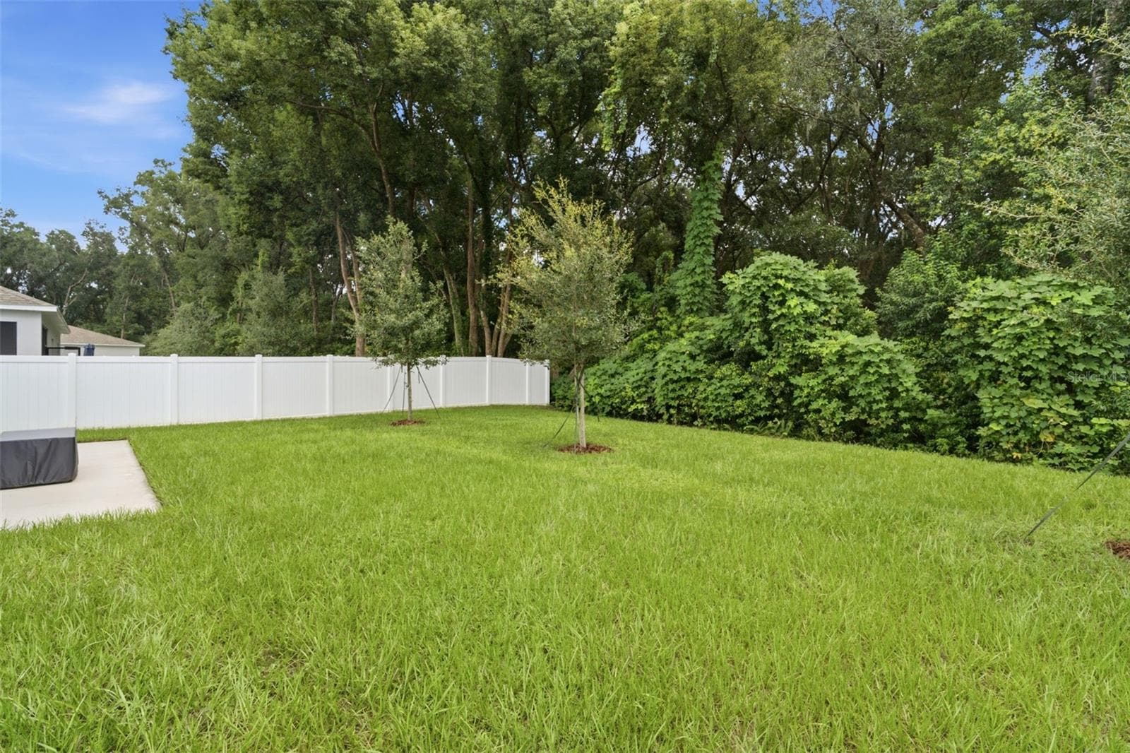 Single Family Residence at 1656 ANDOVER RIDGE DR, DELAND, photo 8 of 39