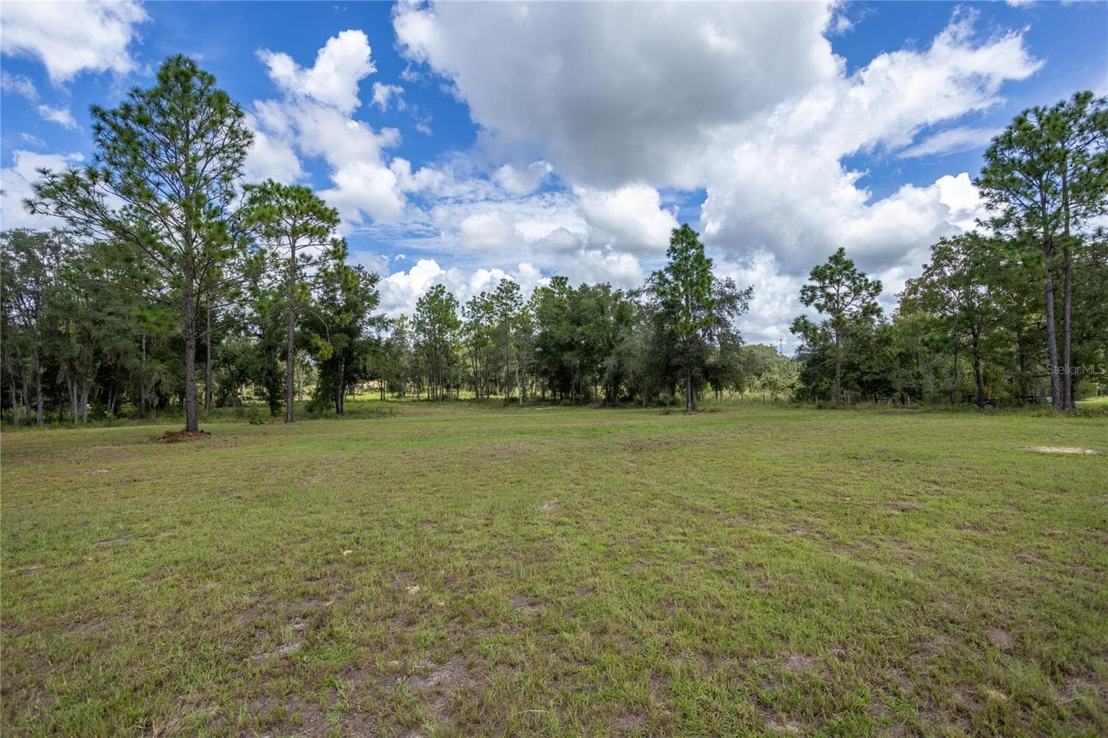 Land at 11491 NE 109TH PL, ARCHER, photo 4 of 22