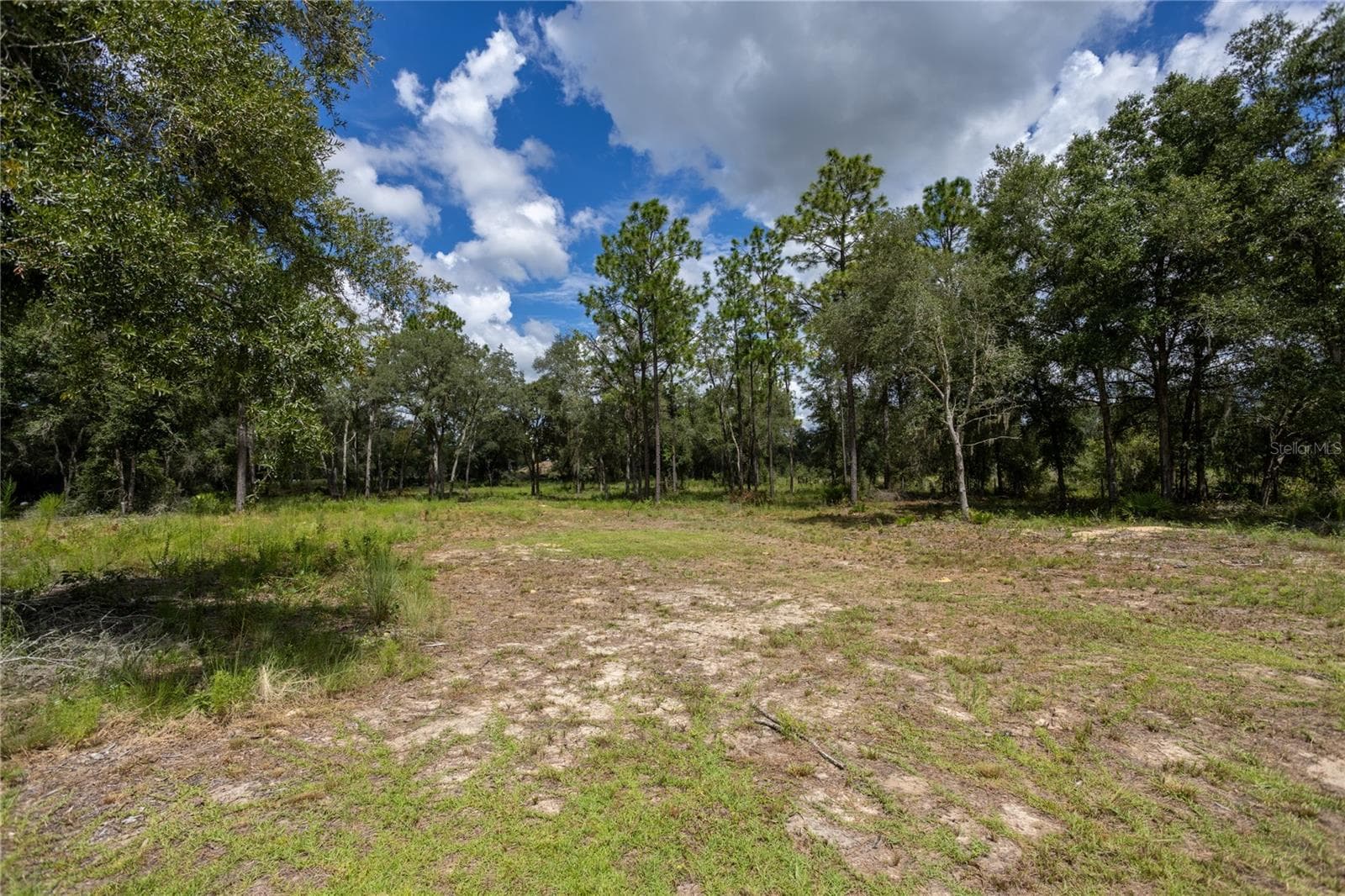 Land at 11491 NE 109TH PL, ARCHER, photo 6 of 22