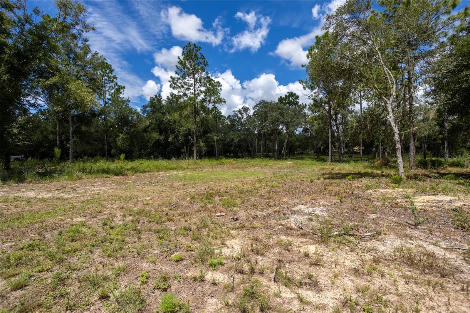 Land at 11491 NE 109TH PL, ARCHER, photo 8 of 22
