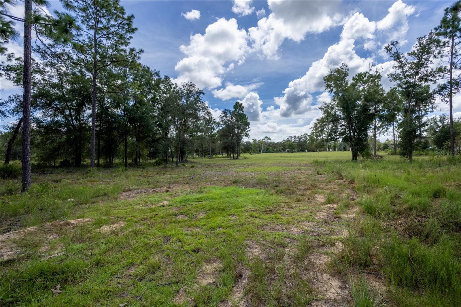 Land at 11491 NE 109TH PL, ARCHER, photo 10 of 22