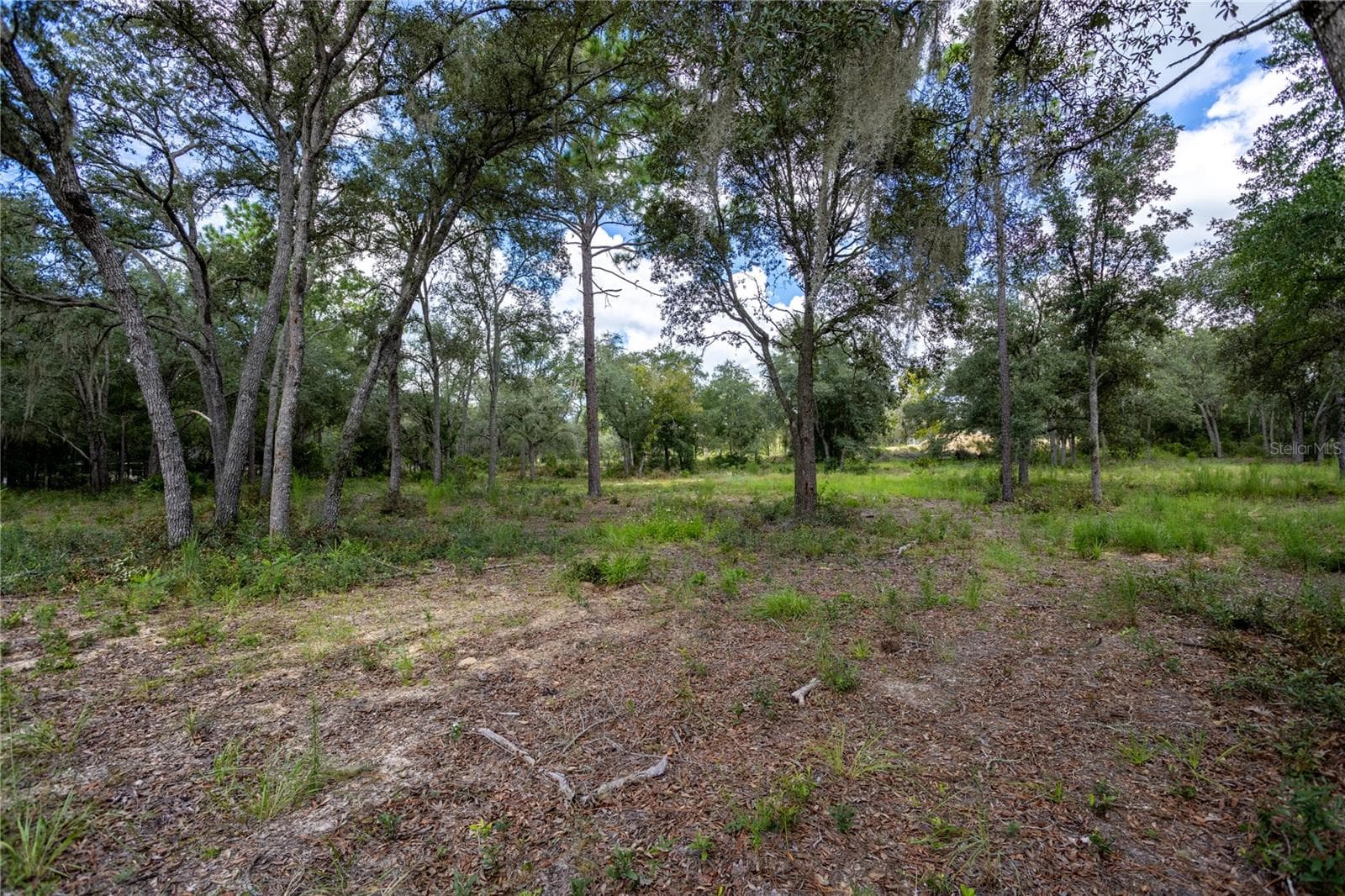 Land at 11491 NE 109TH PL, ARCHER, photo 11 of 22