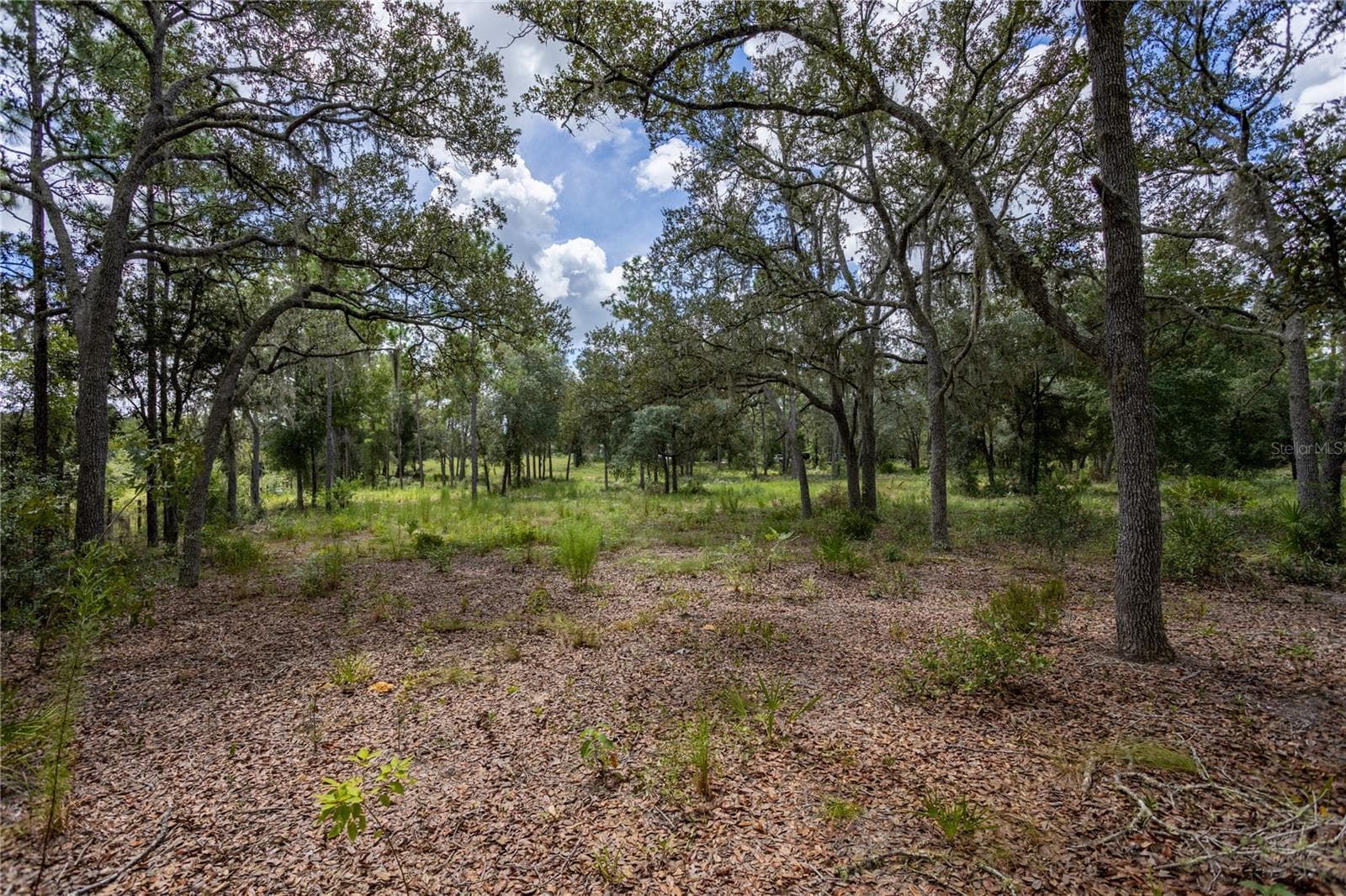 Land at 11491 NE 109TH PL, ARCHER, photo 12 of 22