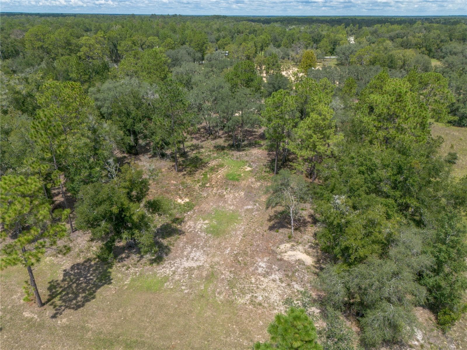 Land at 11491 NE 109TH PL, ARCHER, photo 15 of 22
