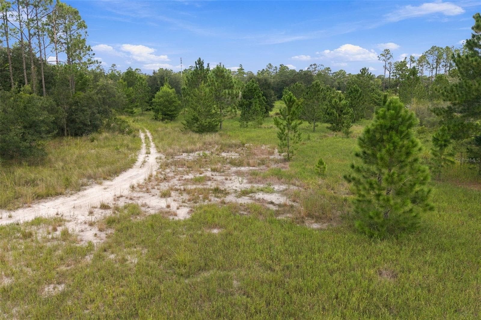 Land at 0 SEELY LN, WEEKI WACHEE, photo 22 of 31