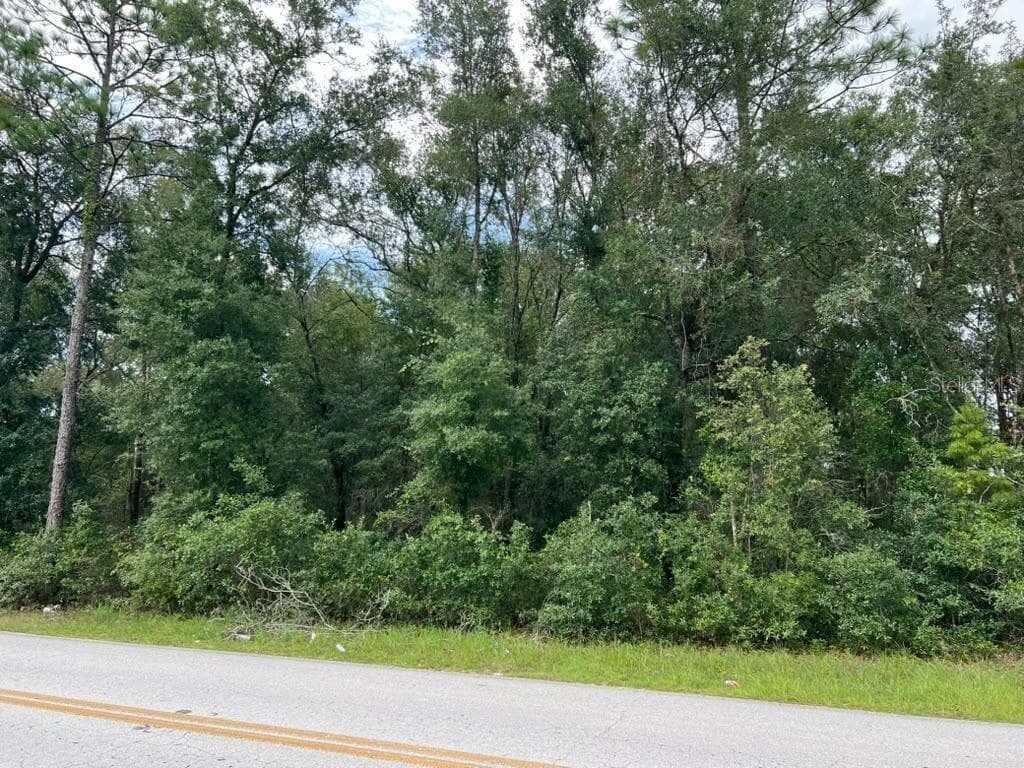 0 SE 132ND PL OCKLAWAHA