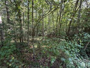 Lot 20 & 21 Zinzendorf Lane