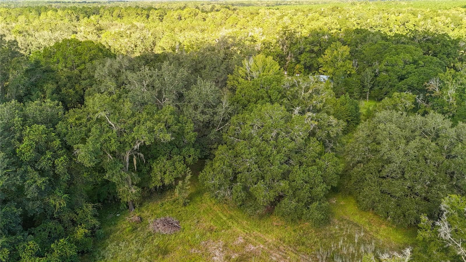 Land at 3526 SE 171ST ST, HAWTHORNE, photo 3 of 12