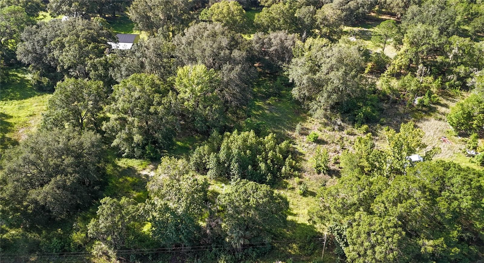 Land at 3526 SE 171ST ST, HAWTHORNE, photo 5 of 12