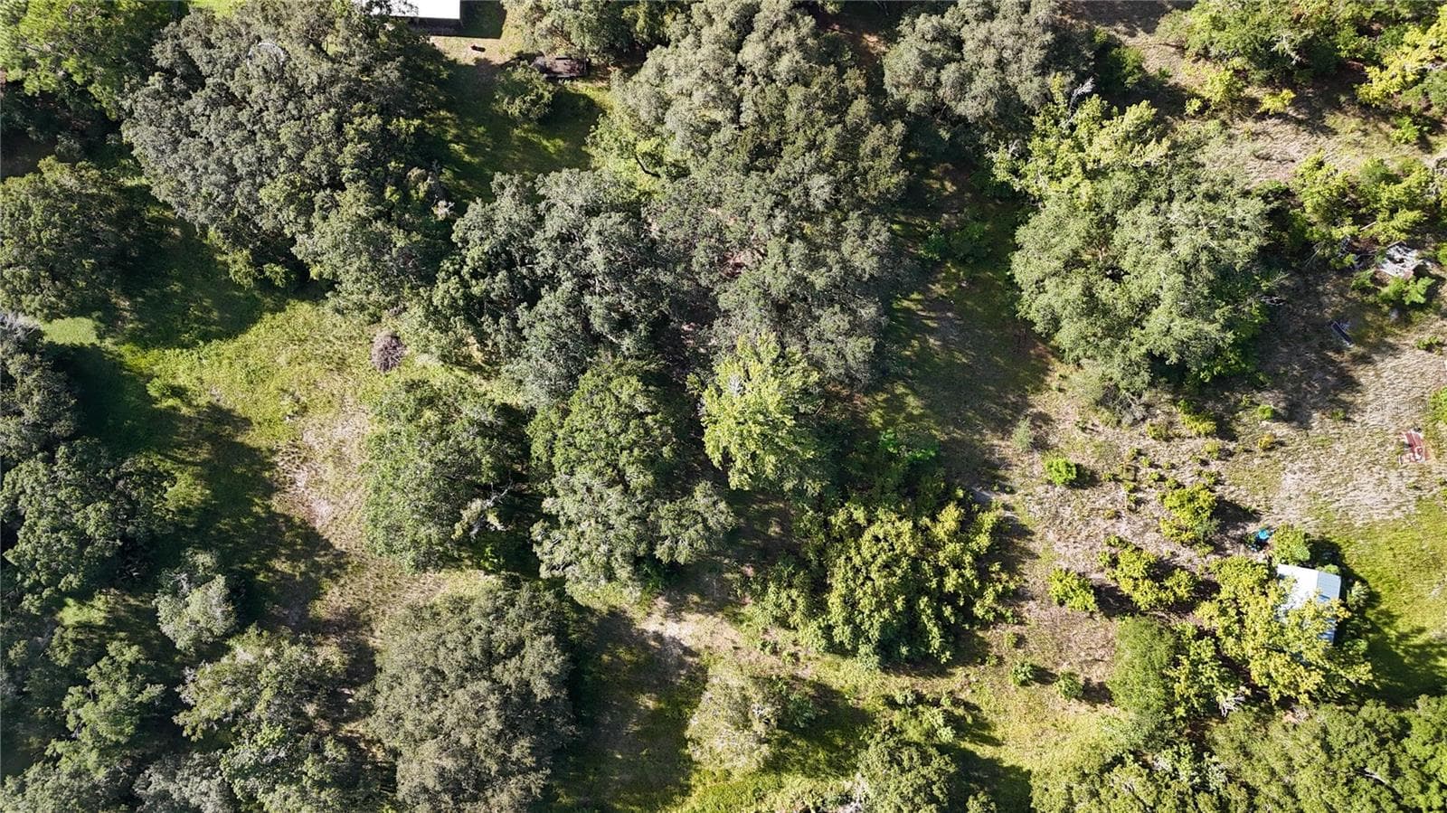 Land at 3526 SE 171ST ST, HAWTHORNE, photo 6 of 12