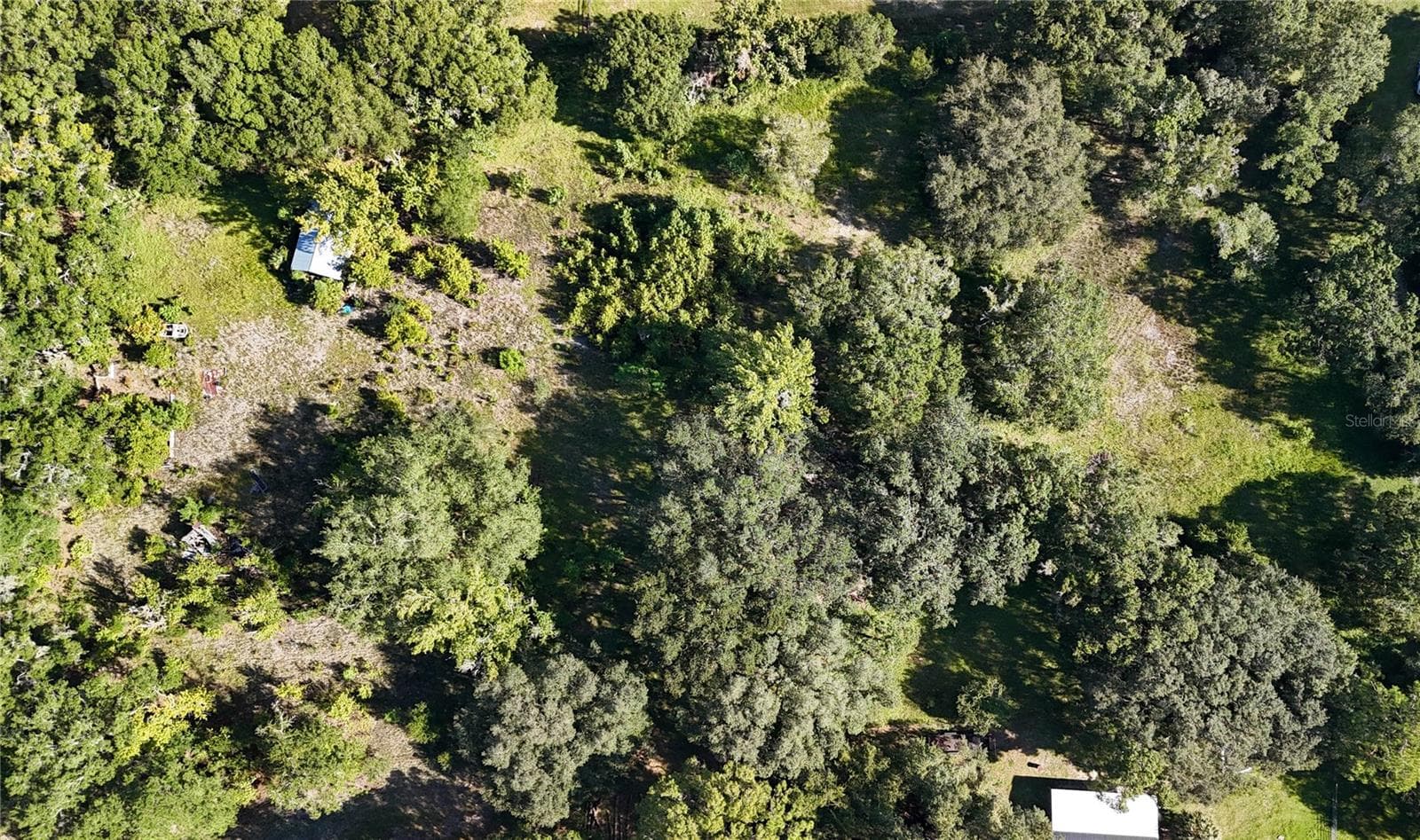 Land at 3526 SE 171ST ST, HAWTHORNE, photo 7 of 12