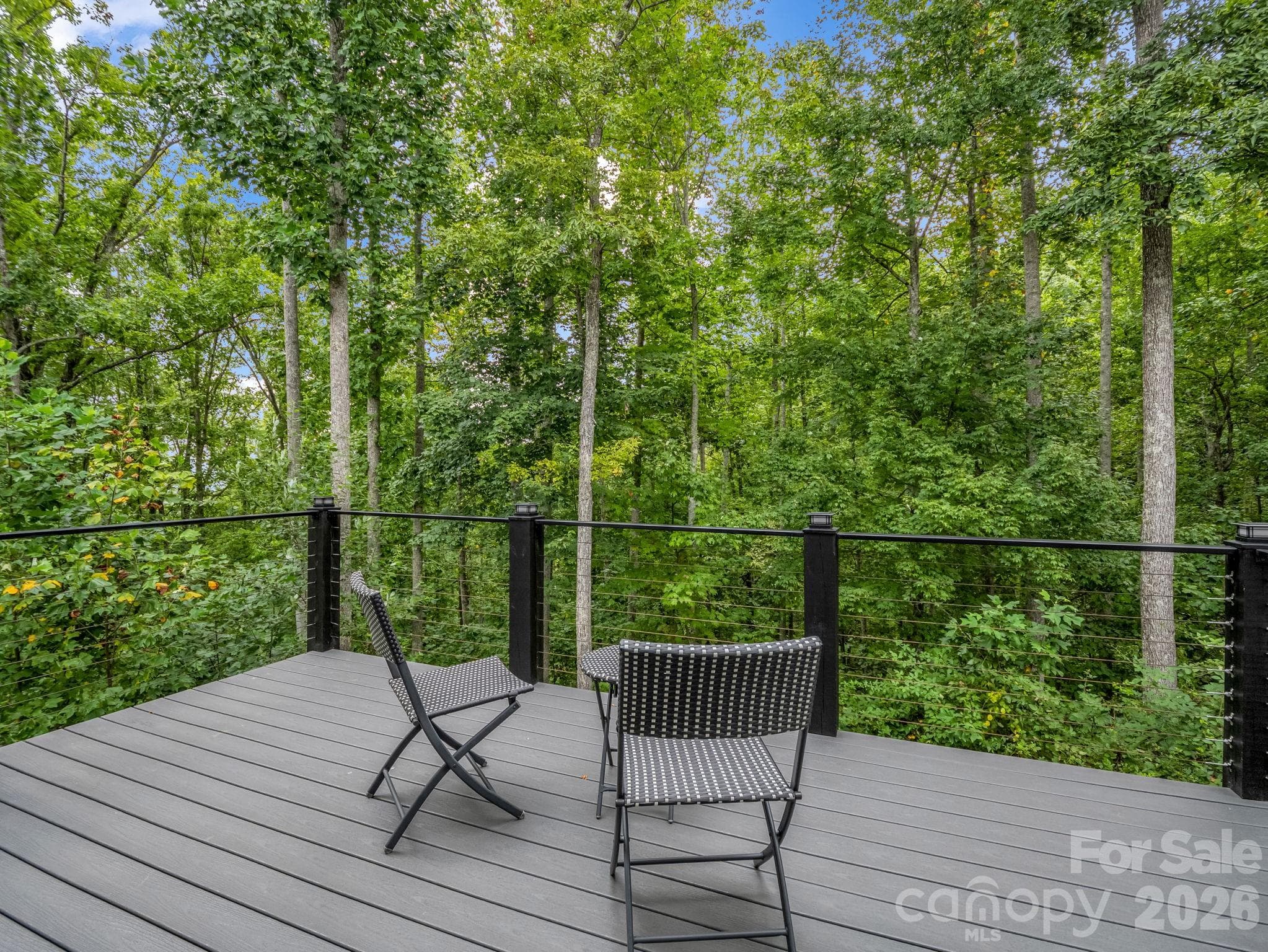 Single Family Residence at 101 Balsamwood Road, Leicester, photo 26 of 48