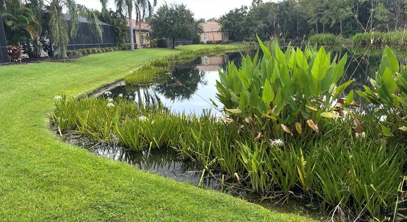 Single Family Residence at 7668 SILVERWOOD CT, LAKEWOOD RANCH, photo 47 of 57