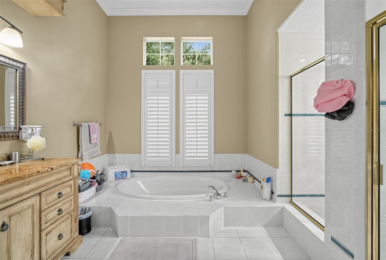 Primary Bath - 9108 WOODRIDGE RUN DR, TAMPA